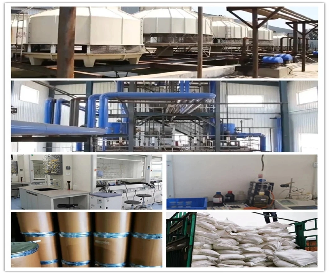 High Quality Factory Direct Zrsio4 Powder Zirconium Silicate for Ceramics and Glass CAS10101-52-7