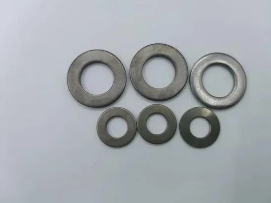 High Quality Titanium Washers M1.6