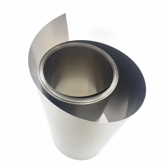 Cheap Price Pure Ta1 R050200 Tantalum Strip